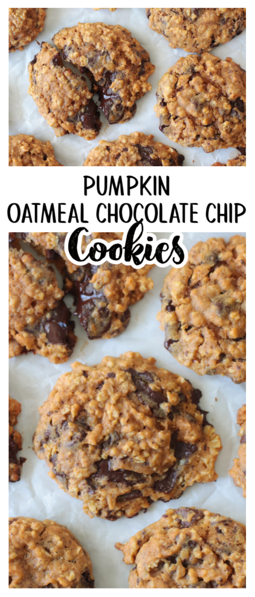 pumpkin oatmeal chocolate chip cookies