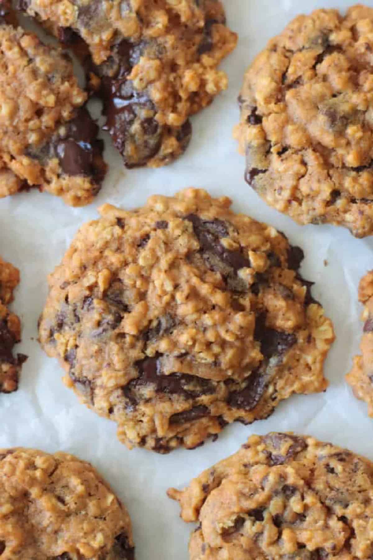 Pumpkin oatmeal chocolate chip cookies on parchment paper.