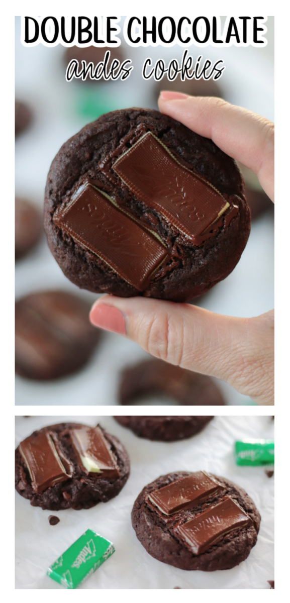 double chocolate andes mint cookies