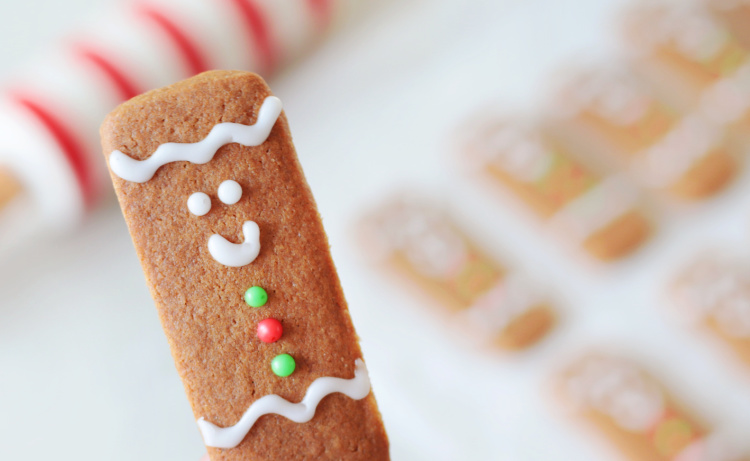 gingerbread cookie stick