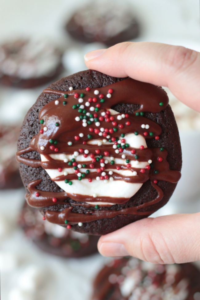 hand holding hot cocoa cookie