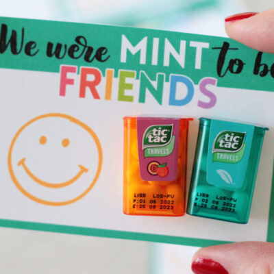 hand holding " we were mint to be friends" valentine card