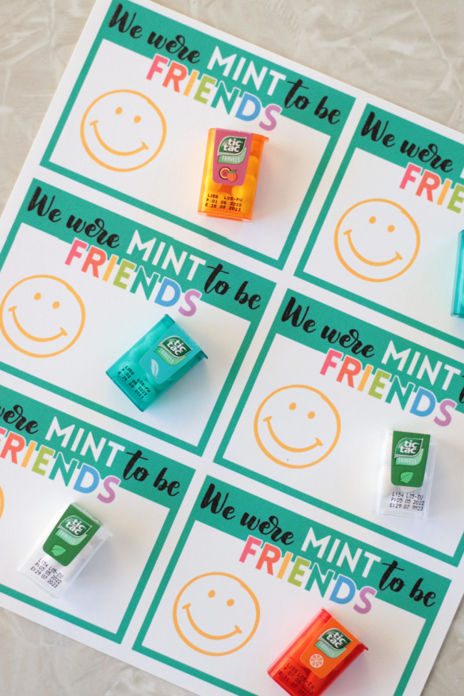 we were mint to be friends valentine printables