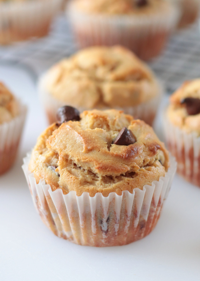 peanut butter chocolate chip muffin in muffin liner