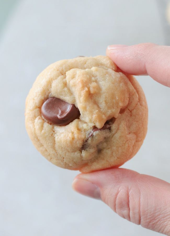 hand holding chocolate chip cookie