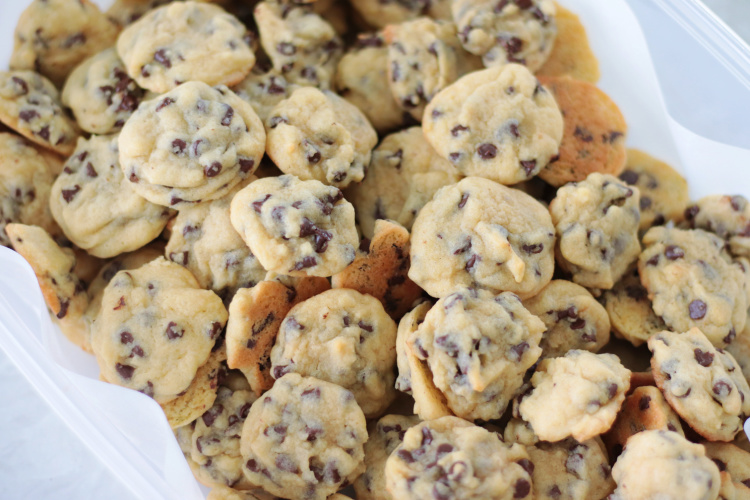 mini chocolate chip cookies in container