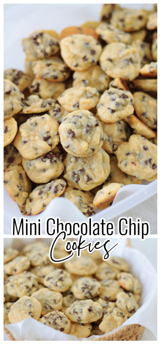 https://gluesticksblog.com/wp-content/uploads/2023/05/mini-chocolate-chip-cookies-2.png