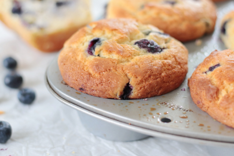 jumbo blueberry muffins in muffin tin