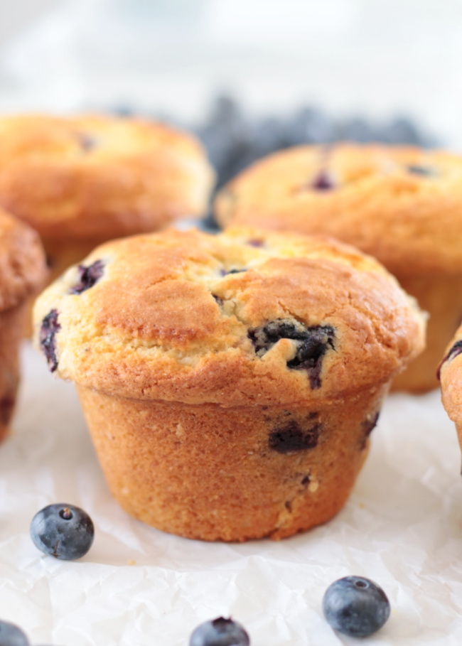 jumbo blueberry muffins