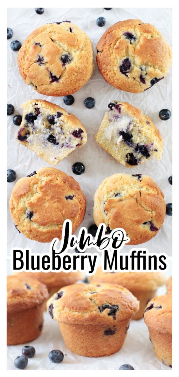 The Best Homemade Blueberry Cake Muffins | Better Baking Bible