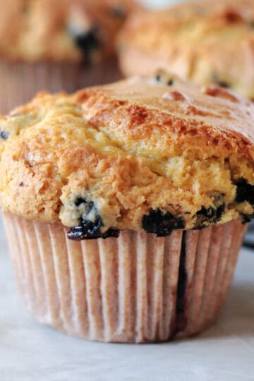 Jumbo bakery style blueberry muffin next to cooling rack of muffins.