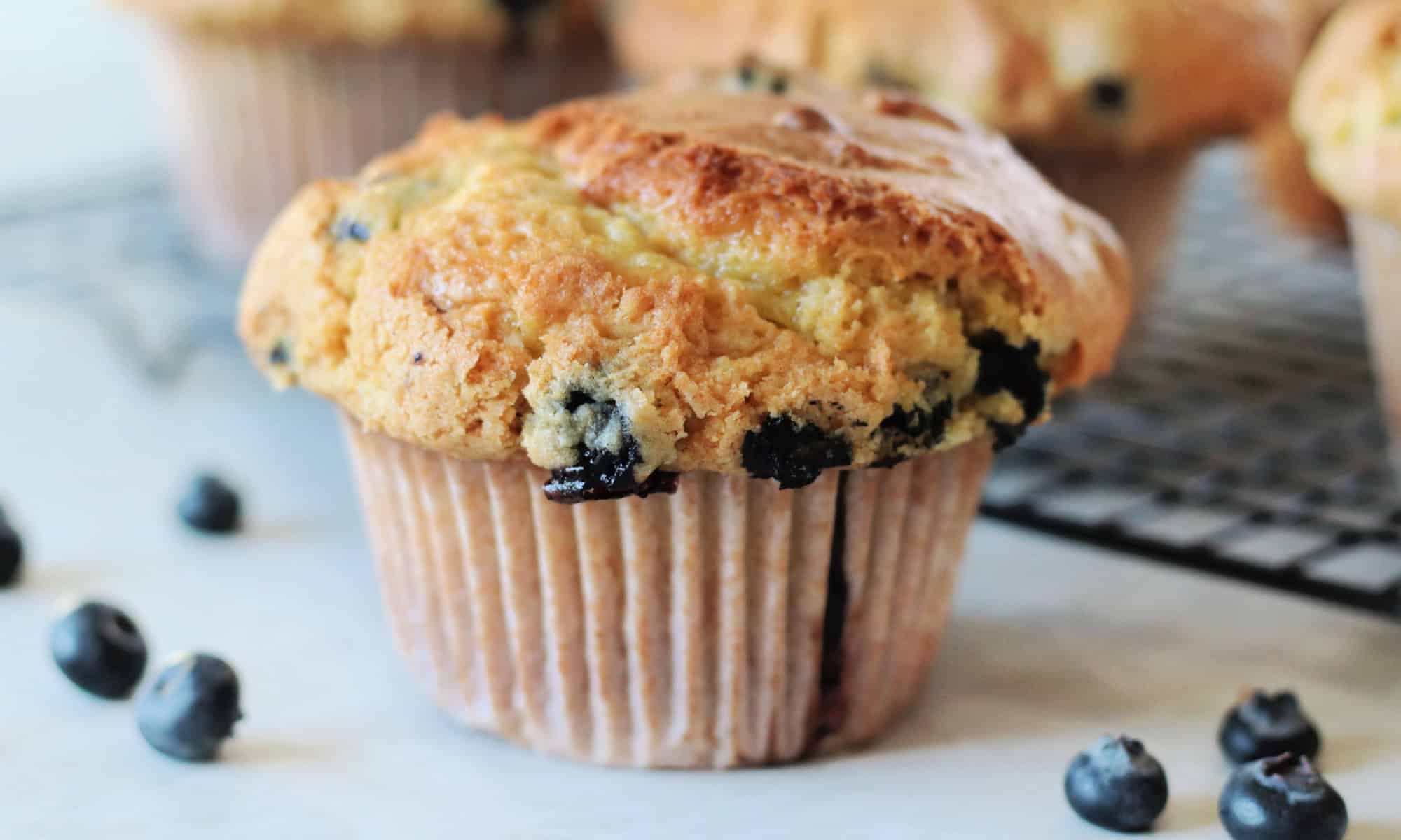 Jumbo bakery style blueberry muffin next to cooling rack of muffins.