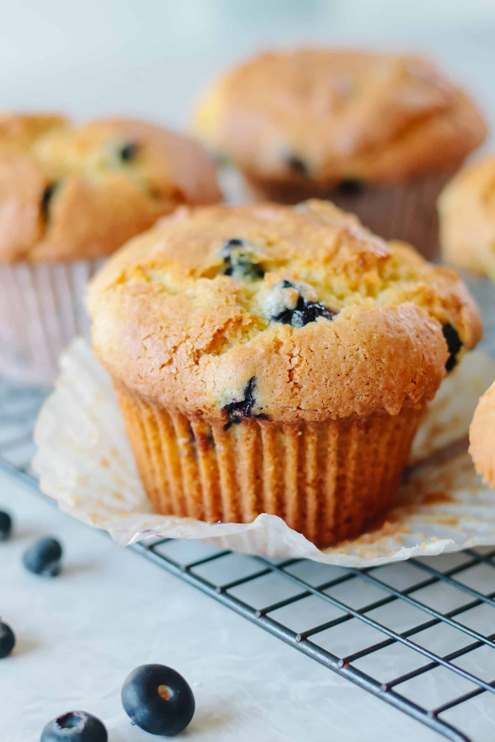 Jumbo blueberry muffin on muffin liner.