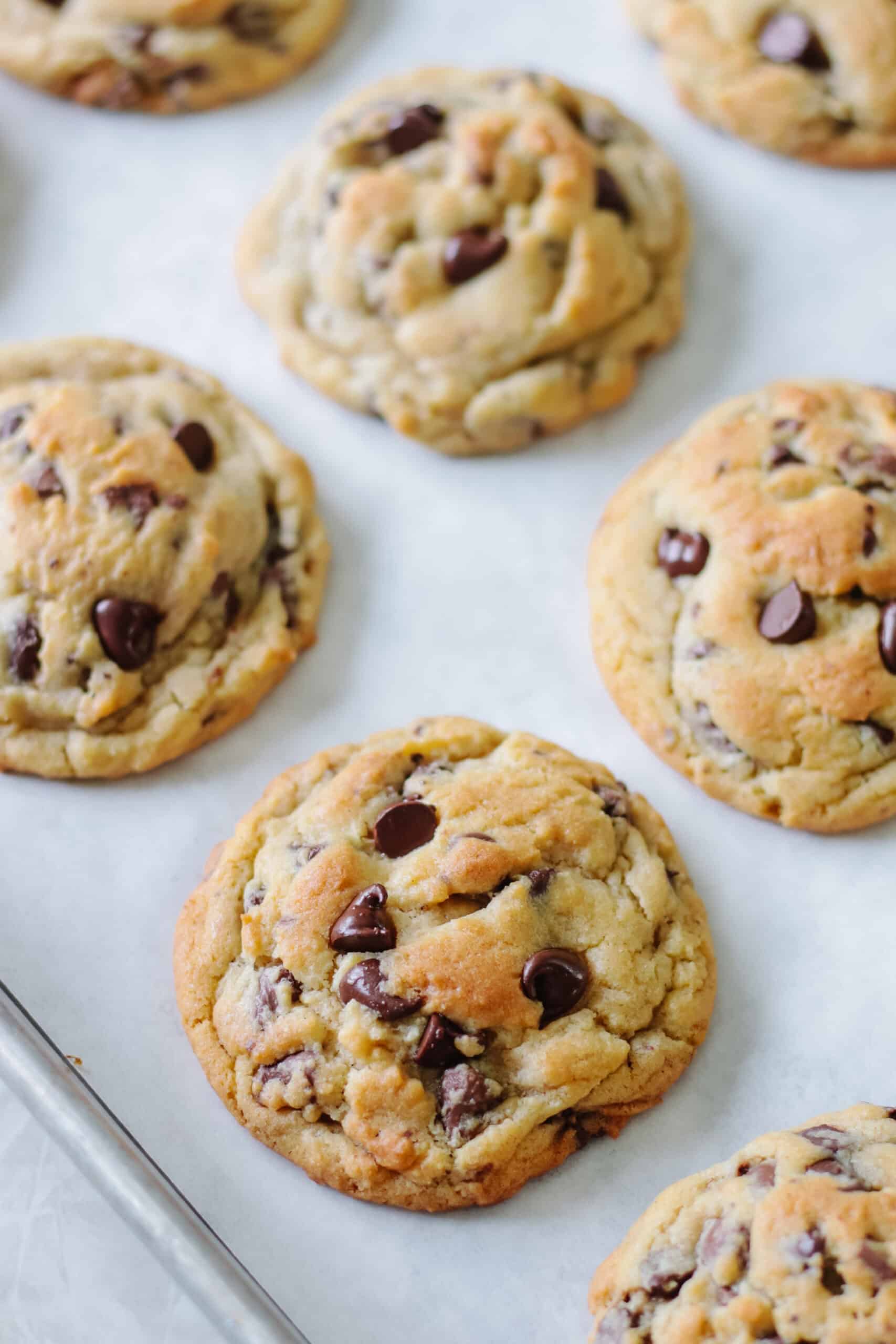 Baking sheet of chocolate chip cookies.