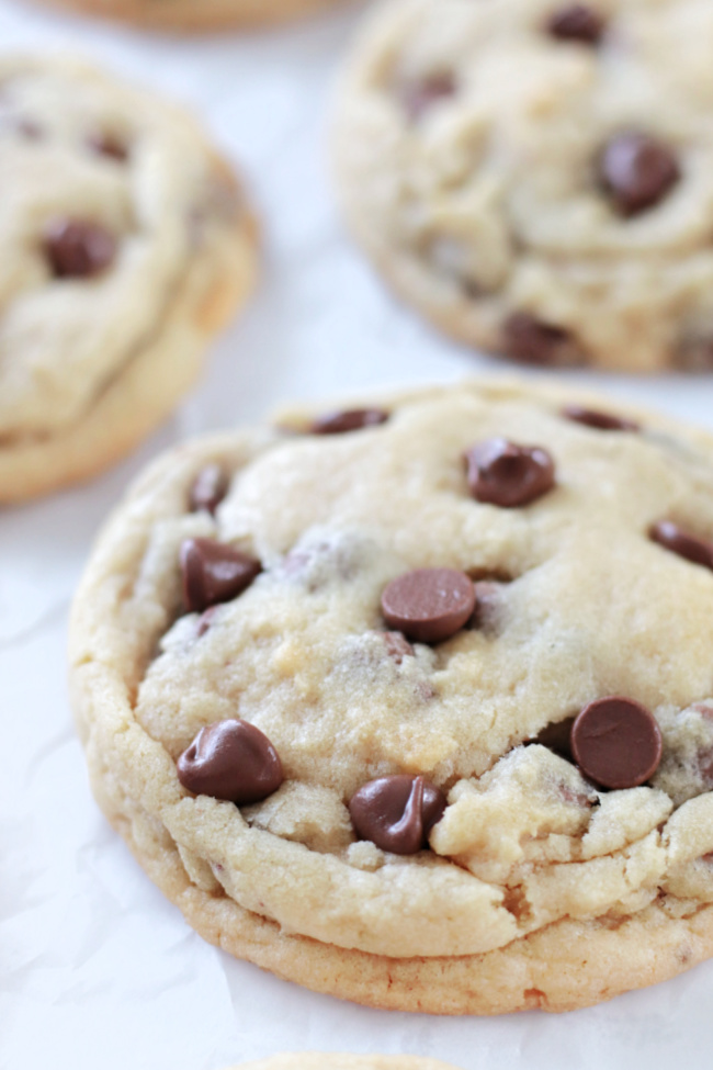 large bakery style chocolate chip cookie