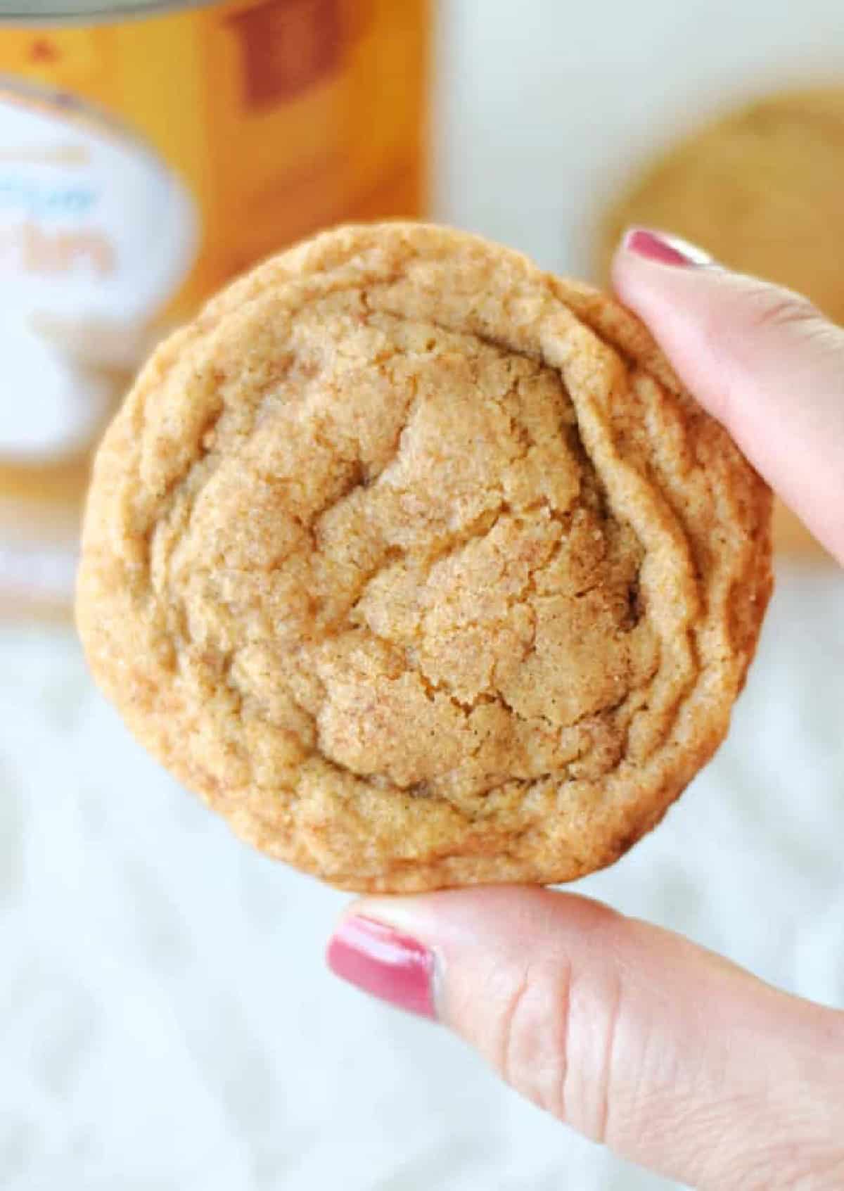 Hand holding pumpkin snickerdoodle cookie.