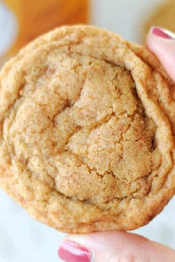 Hand holding pumpkin snickerdoodle cookie.