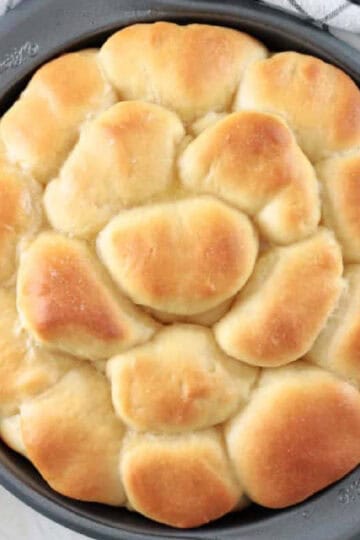 Pan of baked Parker House rolls.