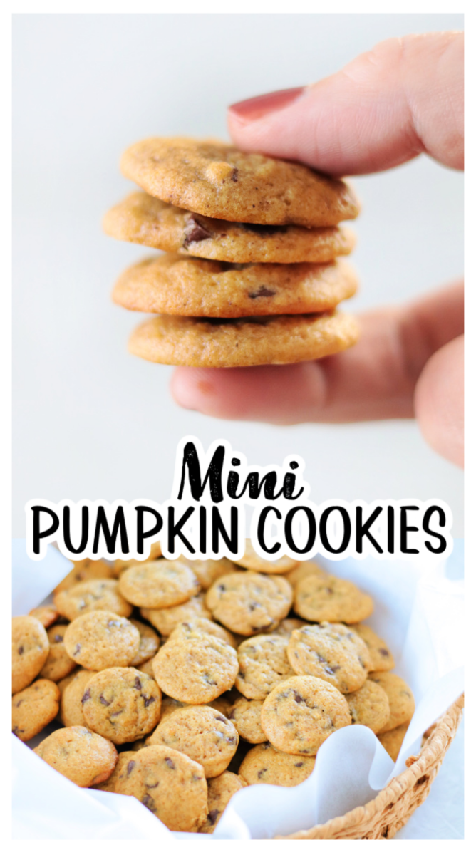 mini pumpkin cookies with chocolate chips