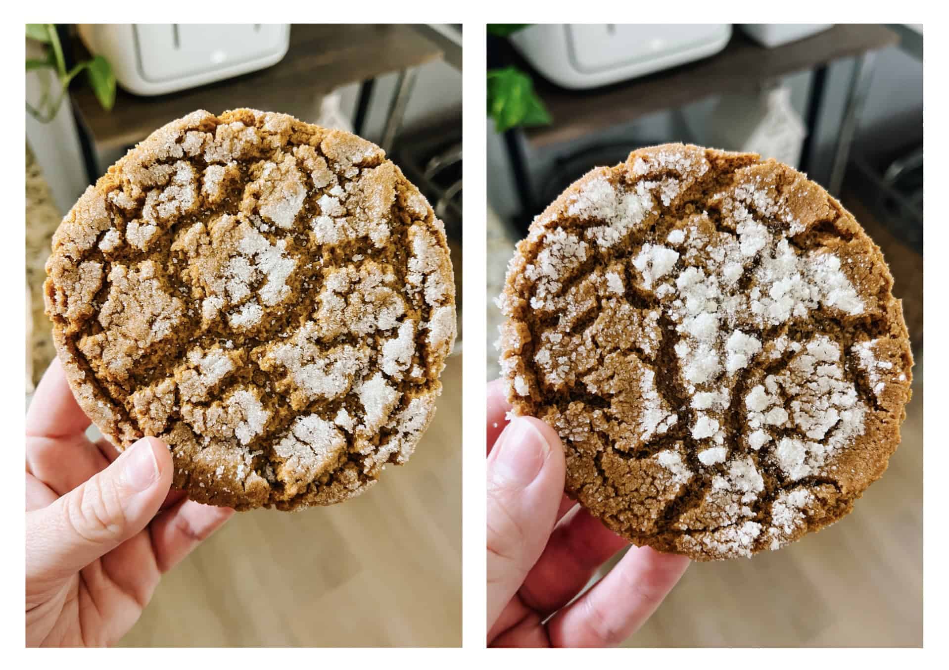 Bakery cookie on left, homemade cookie on right.