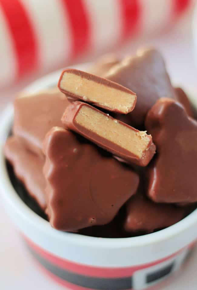 chocolate peanut butter trees in bowl and one cut in half