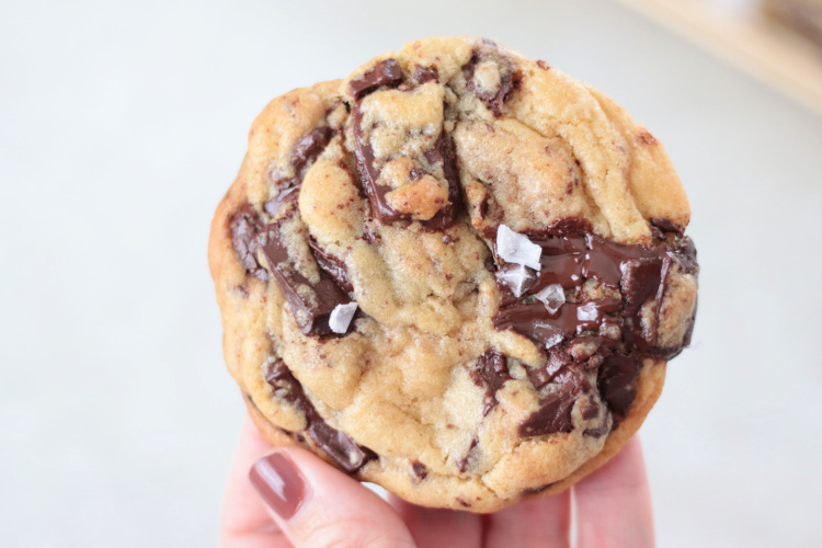 hand holding a chocolate chip cookie