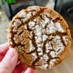 Hand holding a molasses cookie.