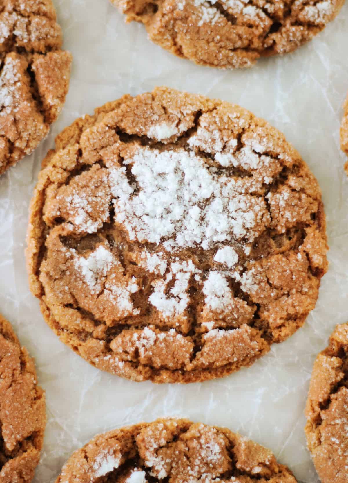 Molasses cookies on parchment paper.