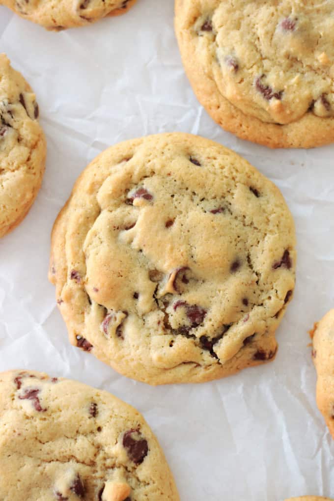 grand Floridian cookies on parchment paper