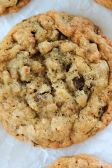 Close up of DoubleTree chocolate chip cookie.