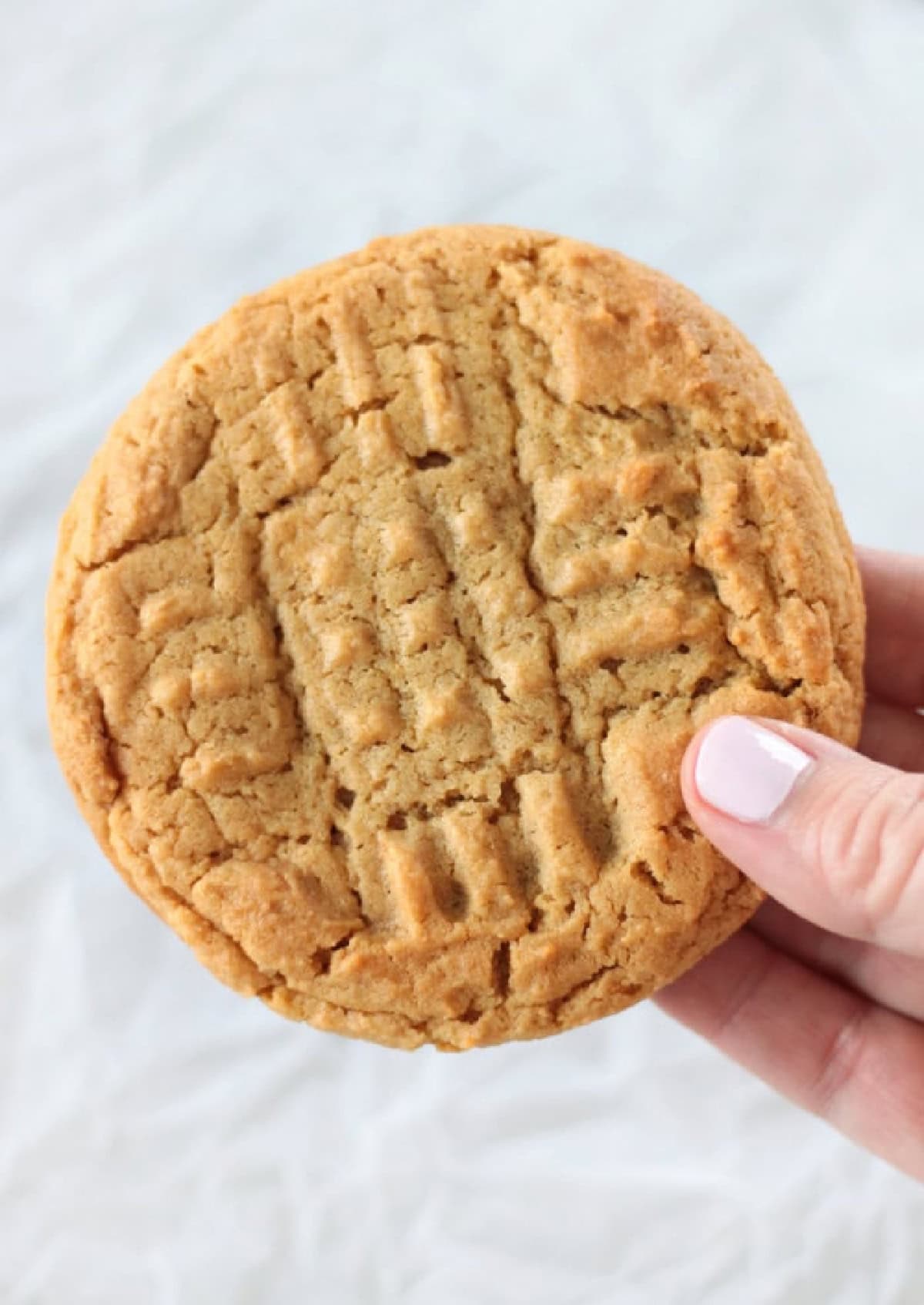 Hand holding large chewy peanut butter cookie.