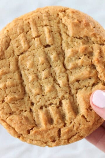 Hand holding large peanut butter cookie.