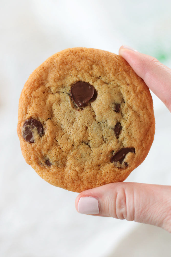 hand holding chocolate chip cookie