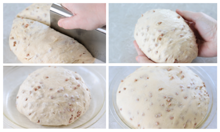 cinnamon chip bread dough cut in half and shaped into a ball.