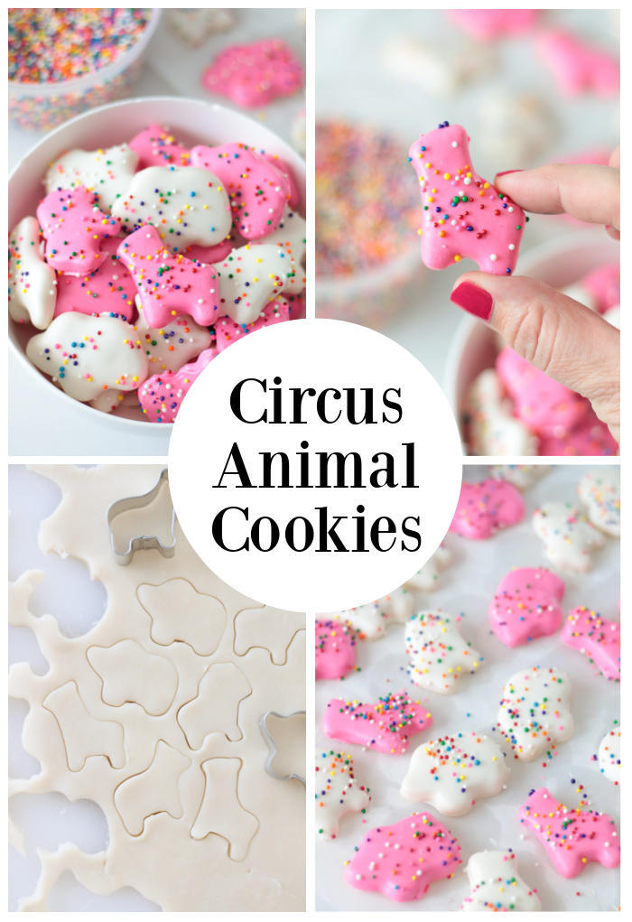 homemade circus animal cookies