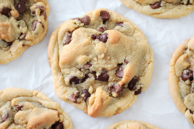 large chocolate chip pudding cookie