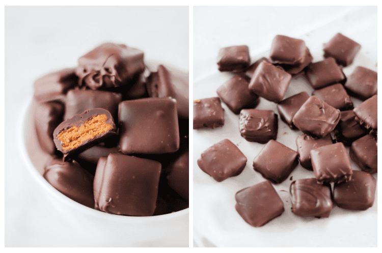 cheez it bites in bowl