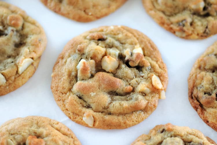 large sausalito cookies