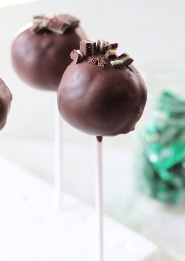 chocolate mint cake pops stuck into styrofoam