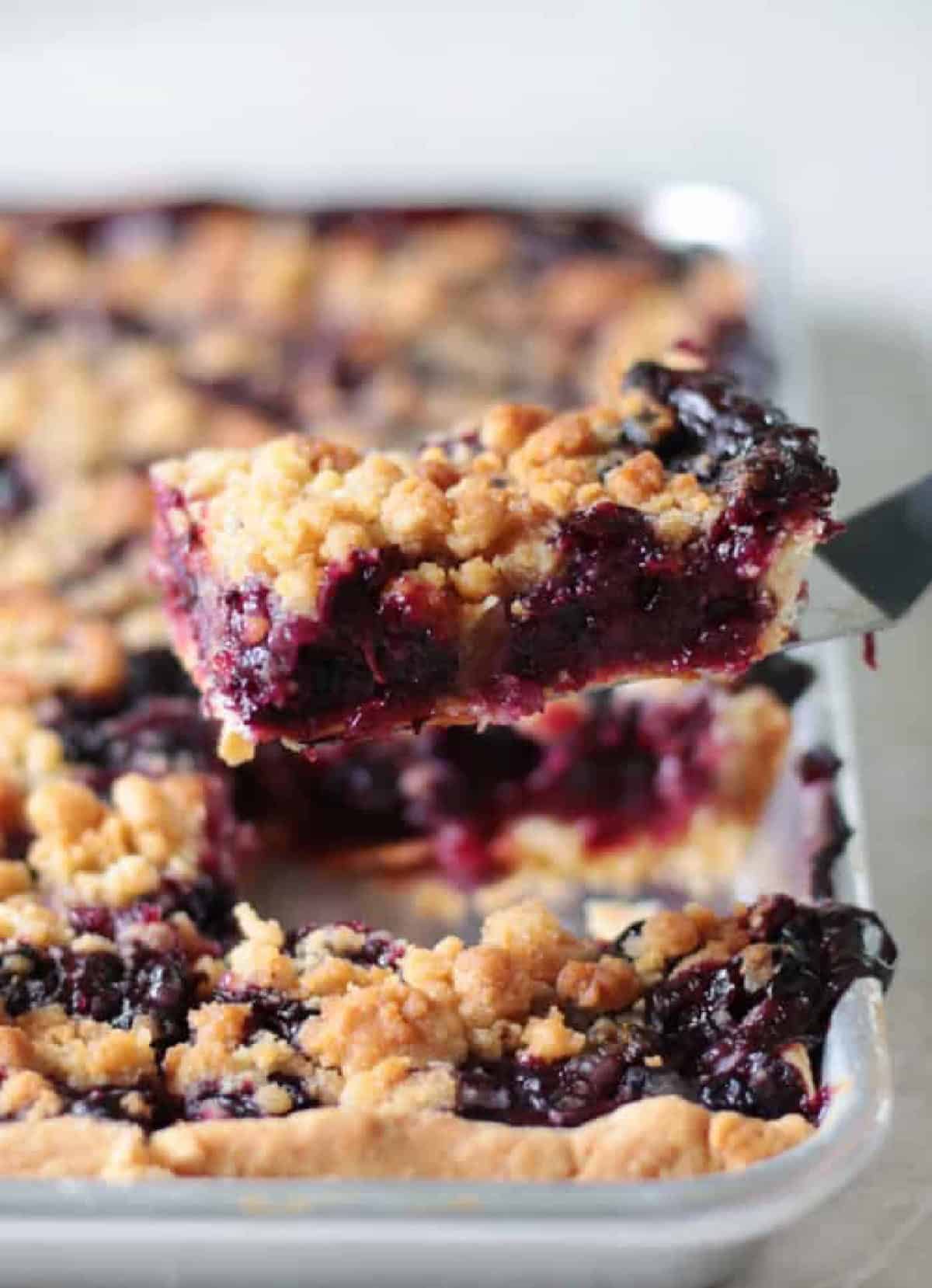 Blueberry slab pie on a spatula.