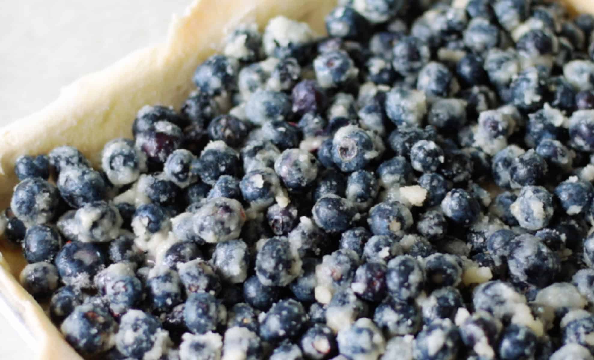 Blueberry pie filling poured over crust in sheet pan.