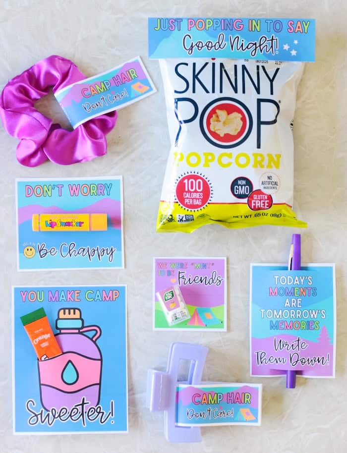 scrunchie, chapstick, popcorn, mints, pen, hair clip and water flavoring all with tags