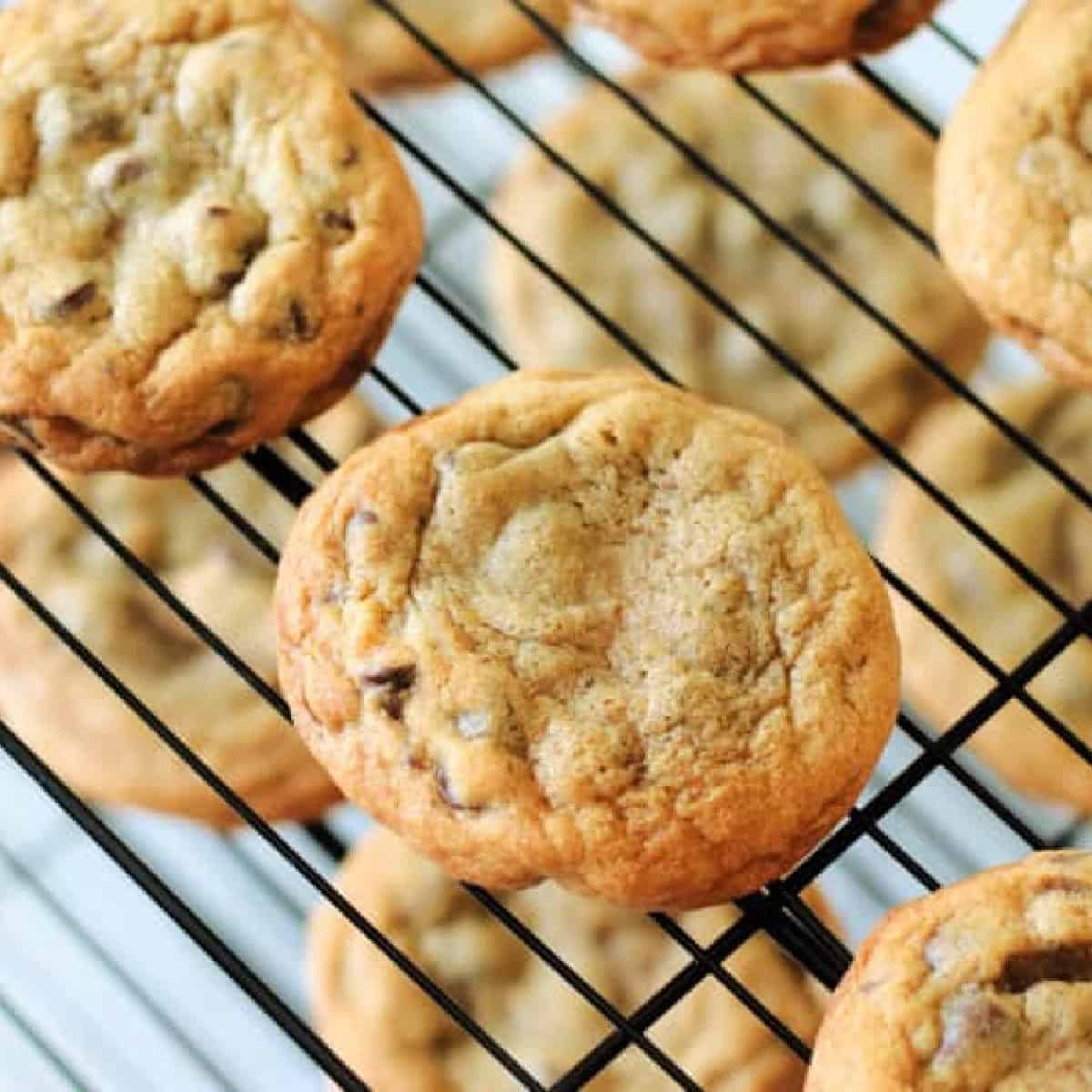 Mrs Fields Chocolate Chip Cookie Recipe (Blue Ribbon)
