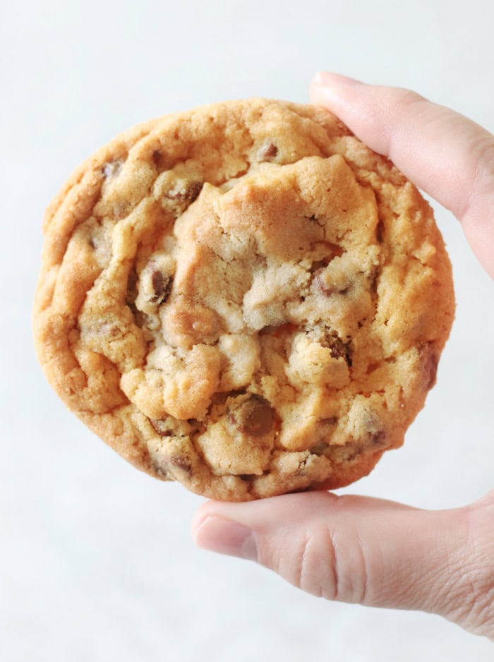 Hand holding snoop dogg chocolate chip peanut butter cookie.