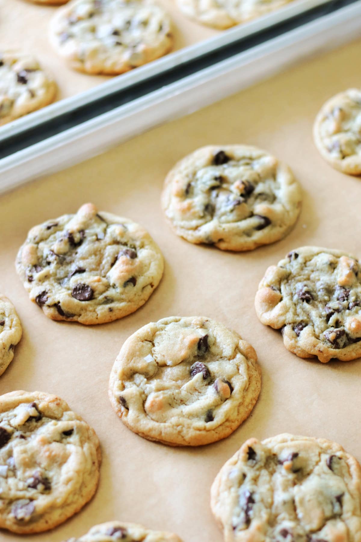 two trays of baked martha stewart cookies