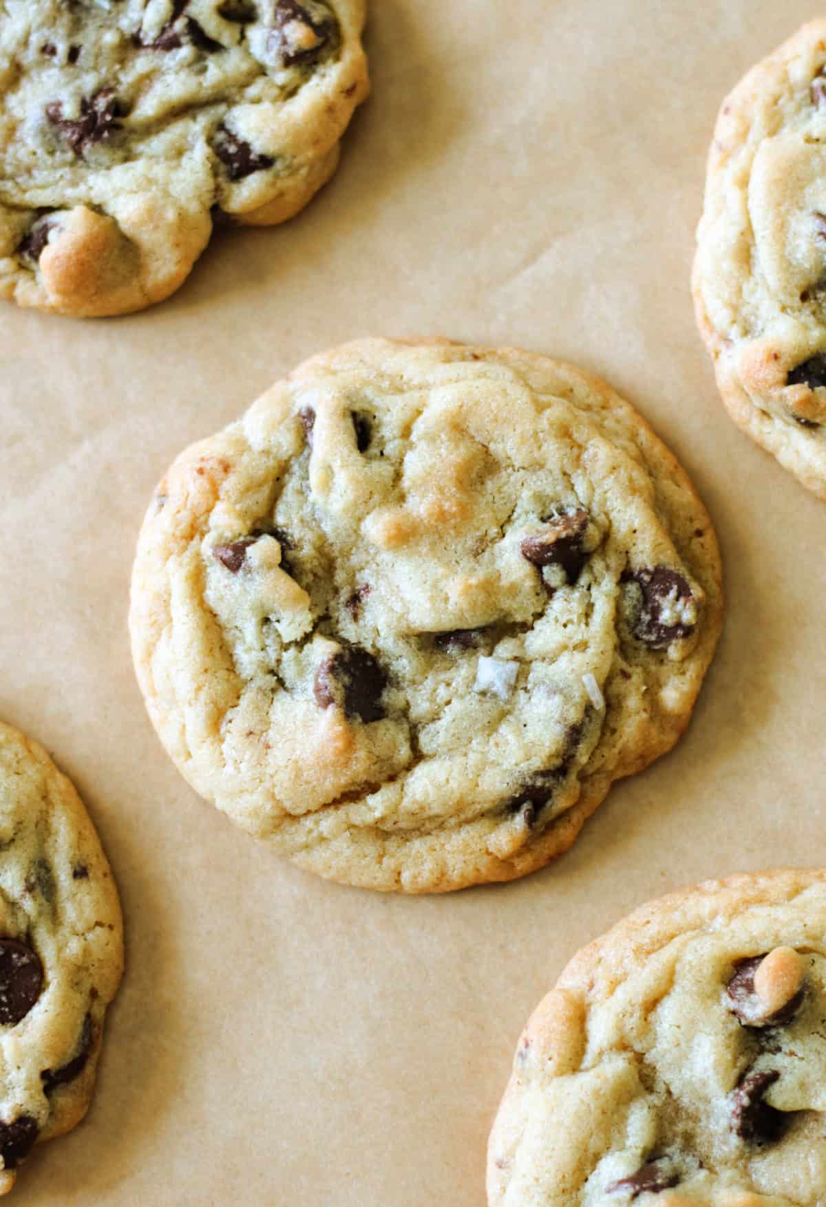 Baked chocolate chip cookies on parchment paper 