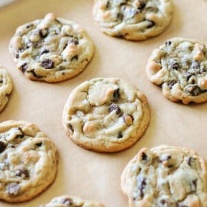 tray of baked cookies on parchment paper