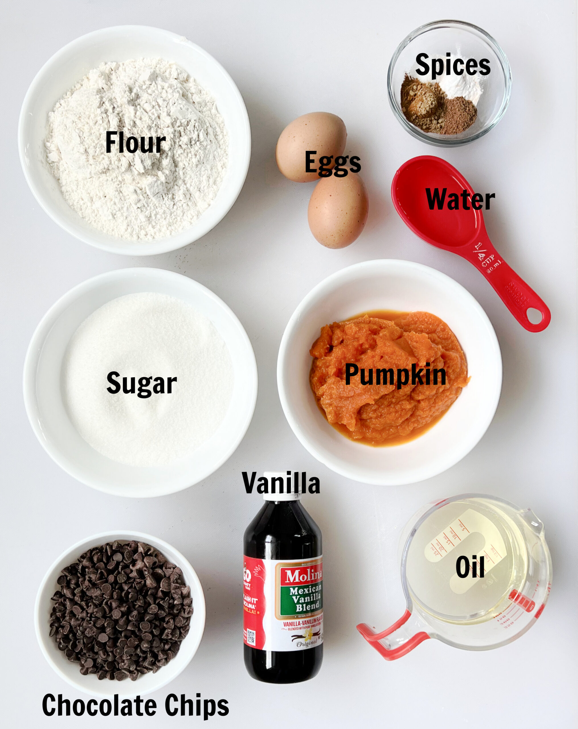 Bowls of flour, sugar, spices, pumpkin puree, 2 eggs, water, bowl of chocolate chips, bottle of vanilla, and cup of oil.