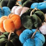 Velvet pumpkins in a variety of colors.