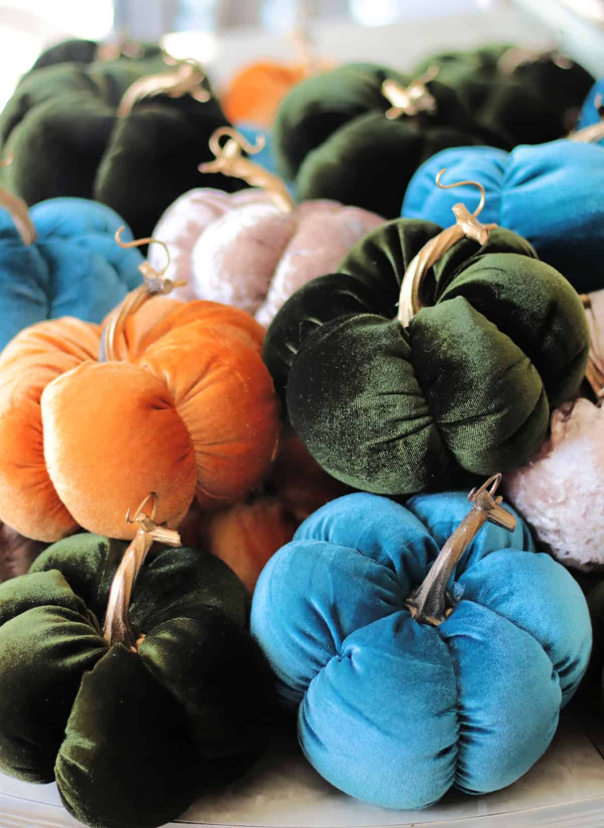 Velvet pumpkins in a variety of colors.